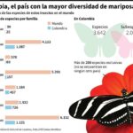 descubre-la-cantidad-exacta-de-mariposas-monarcas-en-el-mundo