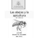 descubre-la-medida-exacta-de-una-abeja-en-este-articulo