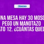 descubre-la-respuesta-a-la-pregunta-cuantas-moscas-existen